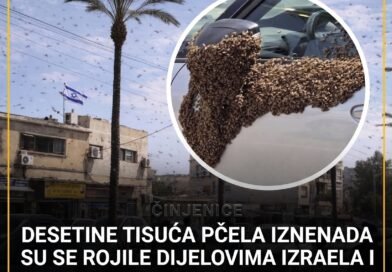 Desetine hiljada pčela u Izraelu