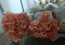 Urbana Farma Mikić vrhunski pristup uzgoju gljiva